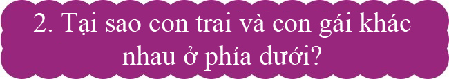 Cách trả lời 11 câu hỏi dở khóc dở cười đứa trẻ nào cũng làm khó bố mẹ hình ảnh 2 cach tra loi 11 cau hoi do khoc do cuoi dua tre nao cung lam kho bo me hinh anh 2